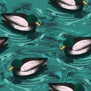 Mallards Swimming in the Water Pattern