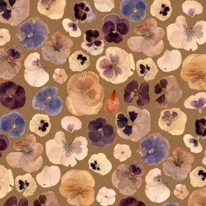 Bessie's Vintage Pansies on Bistre 9a7448 / 9.4 x 9"