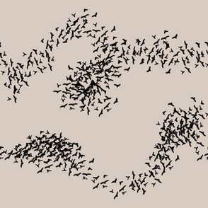 Starlings  in flight