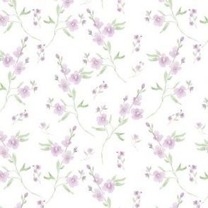 Pastel Purple and White Cottage Blossoms