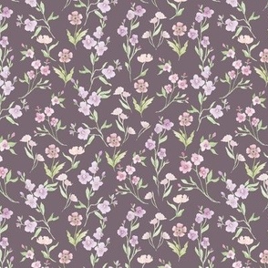 Purple and Mauve Color Cottage Blossoms