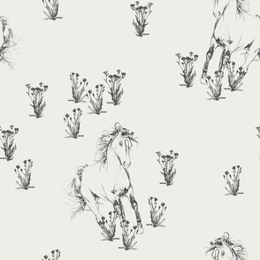Hand drawn Wild Horses Sketch with Flowers - Black on Off white