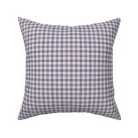 Lainey gingham check pink and blue