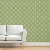 celadon green polka dots