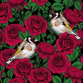 Red Rose flowers and goldfinch birds