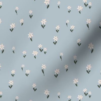 Mini Daisies, scattered flower meadow on powder blue