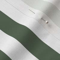 Cabana Boy Stripe Peale Green and White