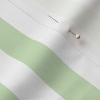 Cabana Boy Stripe Soft Green and White 