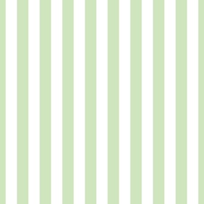 Cabana Boy Stripe Soft Green and White 