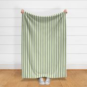 Cabana Boy Stripe Sweetpea Green and White