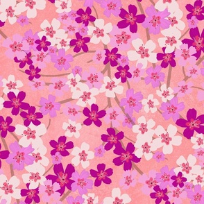 Warm minimalism - Cherry Blossoms