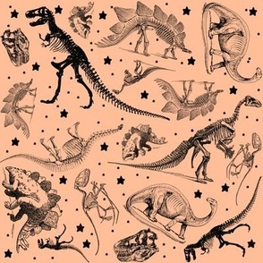 Dinosaur Skeletons & Stars, Black and Peach Fuzz Dinos, Museum Animals (405)