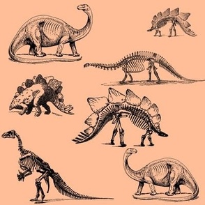 Dinosaur Skeletons, Black and Peach Fuzz Dinos, Museum Animals (405)