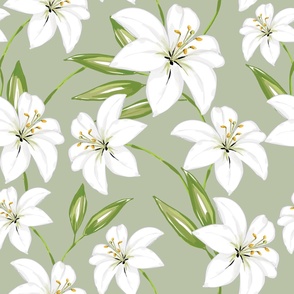 White Lily on Sage Green - XL