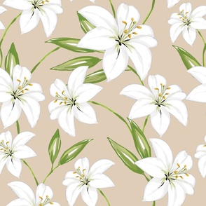 White Lily on Sand - XL