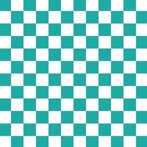 1/2” Classic Checkers, Turquoise and White