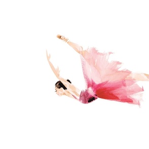 Ballet Dancer II