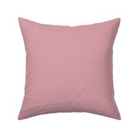 Solid Rose Pink Color Coordinate | M.Kokolo Color Palette