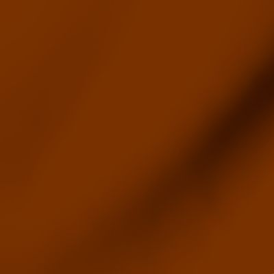 Solid Autumn Rust Orange Color Coordinate | M.Kokolo Color Palette
