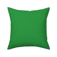 Solid Kelly Green Color Coordinate | M.Kokolo Color Palette