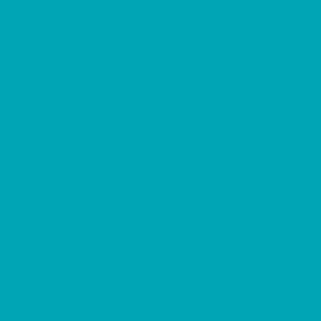 Solid Turquoise Blue Teal Color Coordinate | M.Kokolo Color Palette