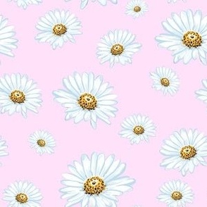 Hand-drawn Daisy on Pink