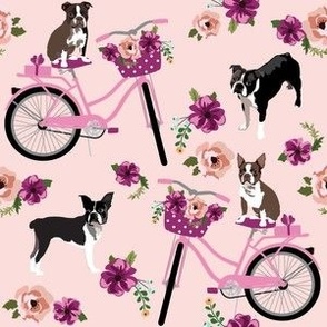 Bicycles and Boston Terrier dogs in pink with flowers