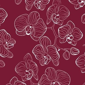 Sketch of orchid flowers with a white pen on a dark red background