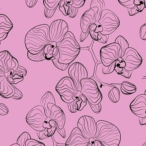 Black pen sketch of orchid flowers on a pink background