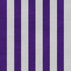Textured Classic Stripes -  Dark Purple Light Gray - Thin