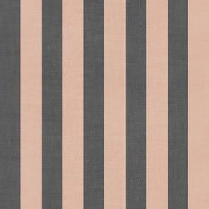 Textured Classic Stripes -  Beige and Gray - Thin