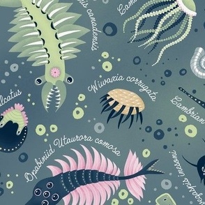 L / Cambrian Sea Animals With Text