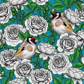 White Rose flowers and goldfinch birds