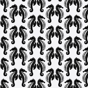 Seahorse Pygmy Black & White Small