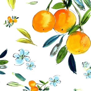 Mandarins (white)