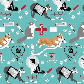 Veterinary Doctor visit by cats and dogs green background