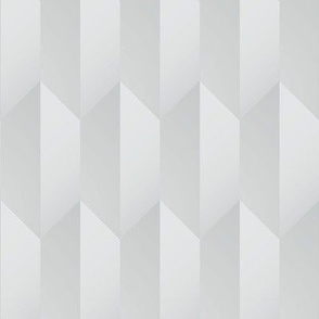 Shadow and Light Geometric Gradient Hex in Cool Gray
