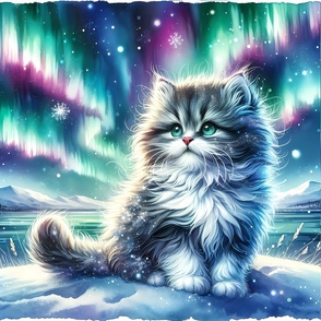The kitten admires the aurora borealis !