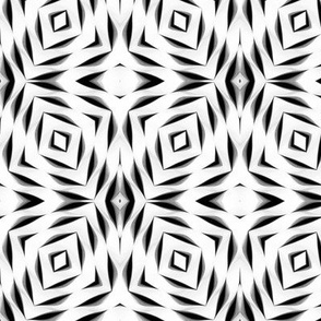 Black and White Geometric Trellis