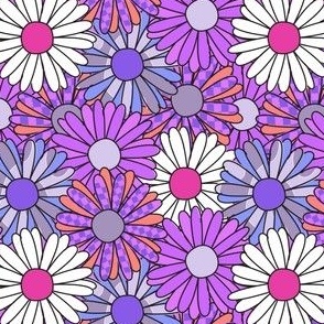 Purple Daisy Field