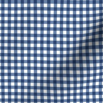 1/4 inch Denim Blue Gingham Check on White