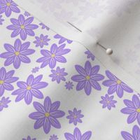 Lilac Daisies - Mini