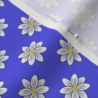 Daisies in Blue - Mini