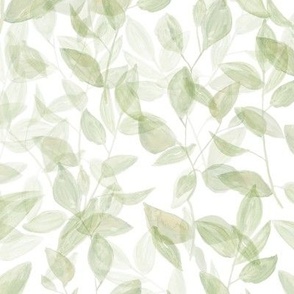 Large Watercolor Leaves Sage Green / White