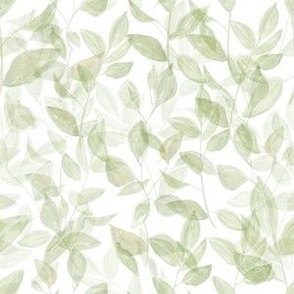 6" Watercolor leaves / sage green / white
