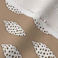 junonia shells  on beige