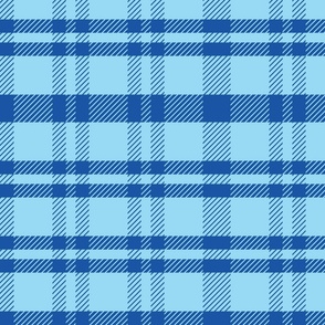 Blue Plaid