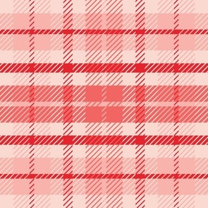 Red and Pink Plaid