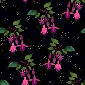 fuchsia flowers retro black background