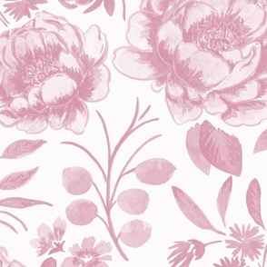 Large Half Drop Stylized Watercolor Monochrome Rose Pink Peonies with Off White Background